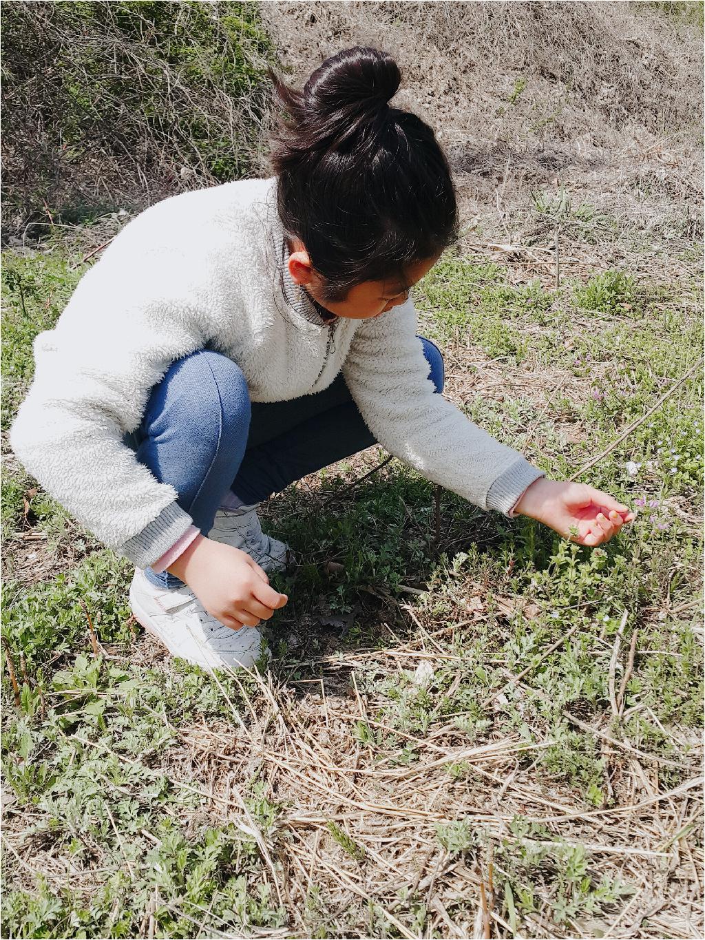 들꽃이 너무 예뻐요~